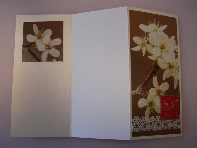 Tri-fold flowers Card